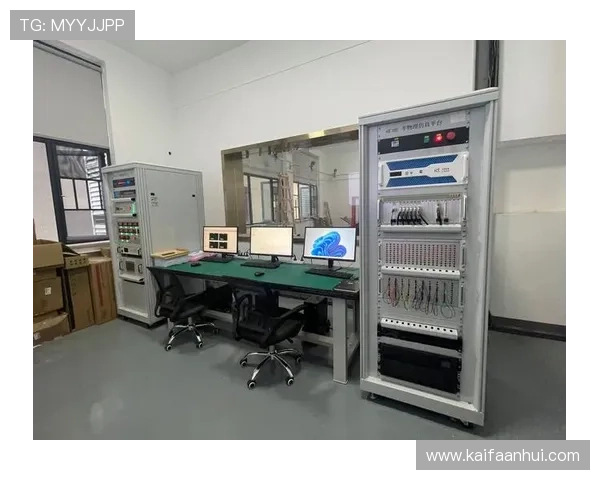 全面解析K8体育登录登录线路稳定性保障措施与优化策略